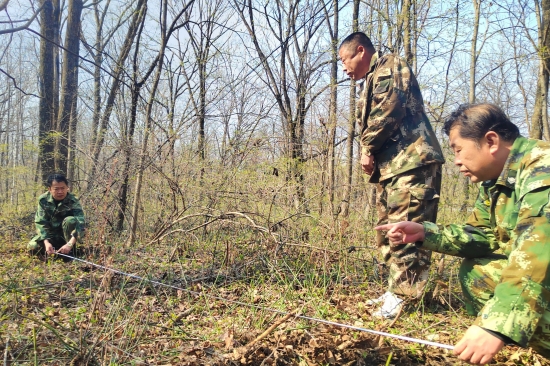 大東林場黨支部開展“科學(xué)造林育林 實現(xiàn)永續(xù)利用”主題黨日活動（1）.jpg