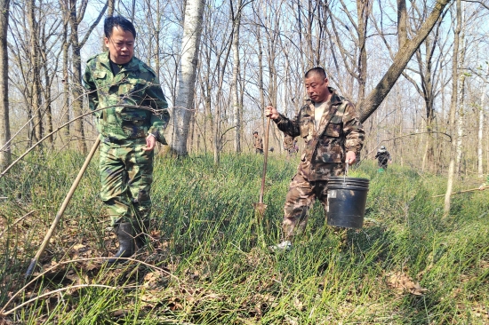 大東林場黨支部開展“科學(xué)造林育林 實現(xiàn)永續(xù)利用”主題黨日活動（2）.jpg