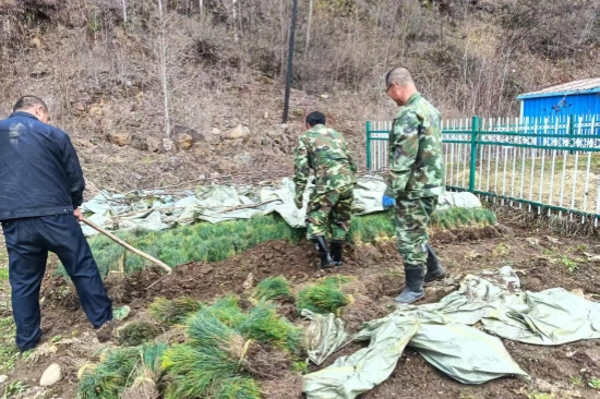 踐行綠色使命 書寫生態(tài)答卷森林資源管護(hù)大隊扎實推進(jìn)春季營林生產(chǎn)工作（1）.jpg