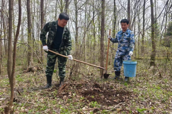 營(yíng)林處：黨旗引領(lǐng)添新綠 植樹造林踐初心（2）.jpg