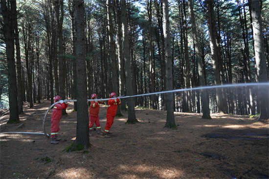 興參林場開展實(shí)戰(zhàn)化森林滅火演練（2）.jpg
